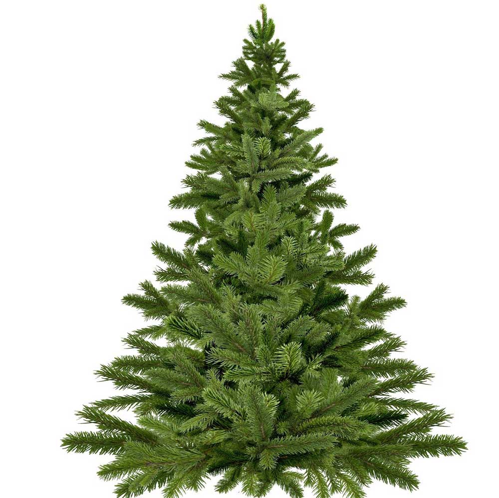 Christmas Trees - Christmas.uk