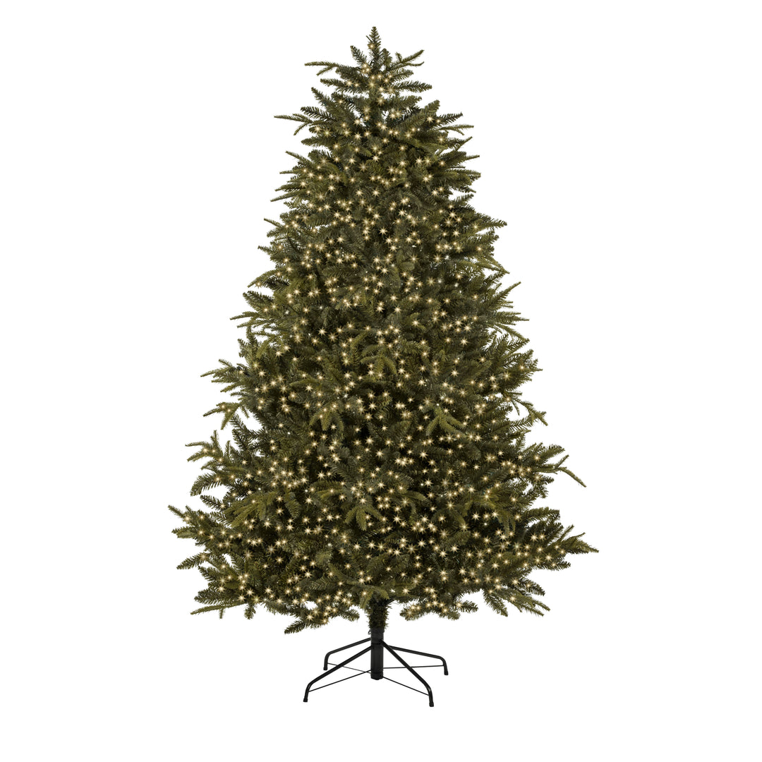 1000 Tree Brights - Clear Cable - Warm White
