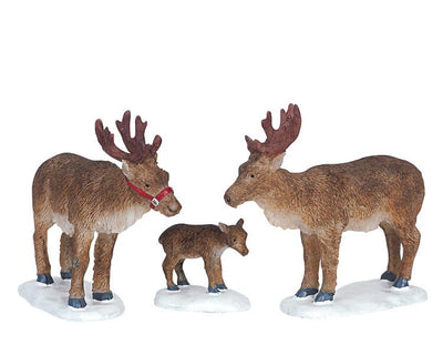 REINDEER, SET OF 3 - Christmas.uk