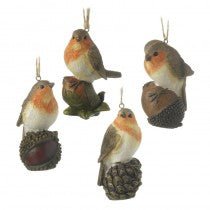 Robins Sitting On Nuts Set Of Four - Christmas.uk