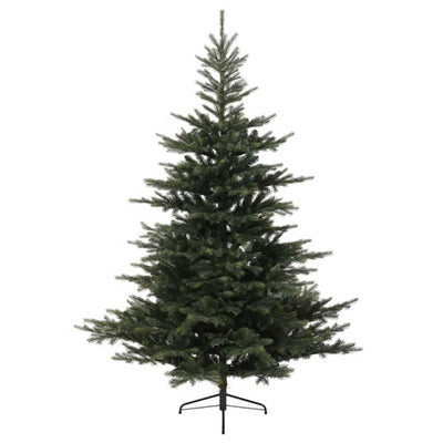 Noble Fir Christmas Tree - 6ft (1.8 m) - Christmas.uk